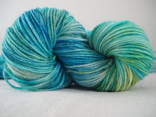 Load image into Gallery viewer, Hand dyed DK Gran Paradiso merino double knitting yarn One Creative Cat
