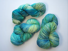 Load image into Gallery viewer, Hand dyed DK Gran Paradiso merino double knitting yarn One Creative Cat
