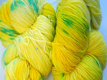 Load image into Gallery viewer, Hand dyed 4 ply or DK Trollius merino Made to Order sock or DK yarn One Creative Cat
