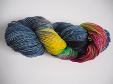 Load image into Gallery viewer, Hand dyed 4 ply Izoard merino nylon sock yarn One Creative Cat
